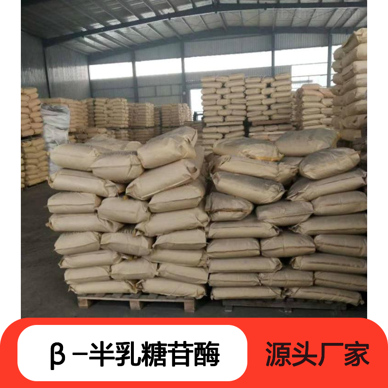 β-半乳糖苷酶 9031-11-2 白色粉末 用于乳品工业 食品级