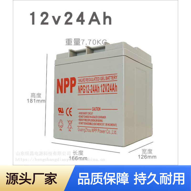 NPP耐普蓄电池 NPG12-24 12V24AH 太阳能 直流屏 机房UPS