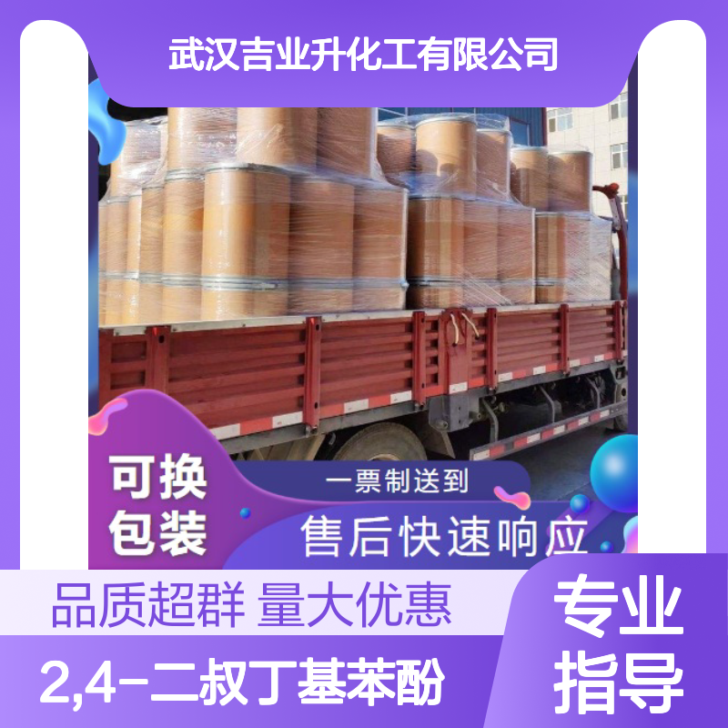 2,4-二叔丁基苯酚 合成抗氧剂 用于再生胶 白色固体 中间体