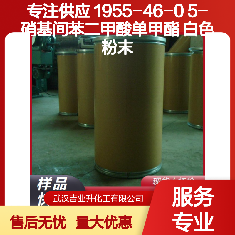 专注供应 1955-46-0 5-硝基间苯二甲酸单甲酯 白色粉末