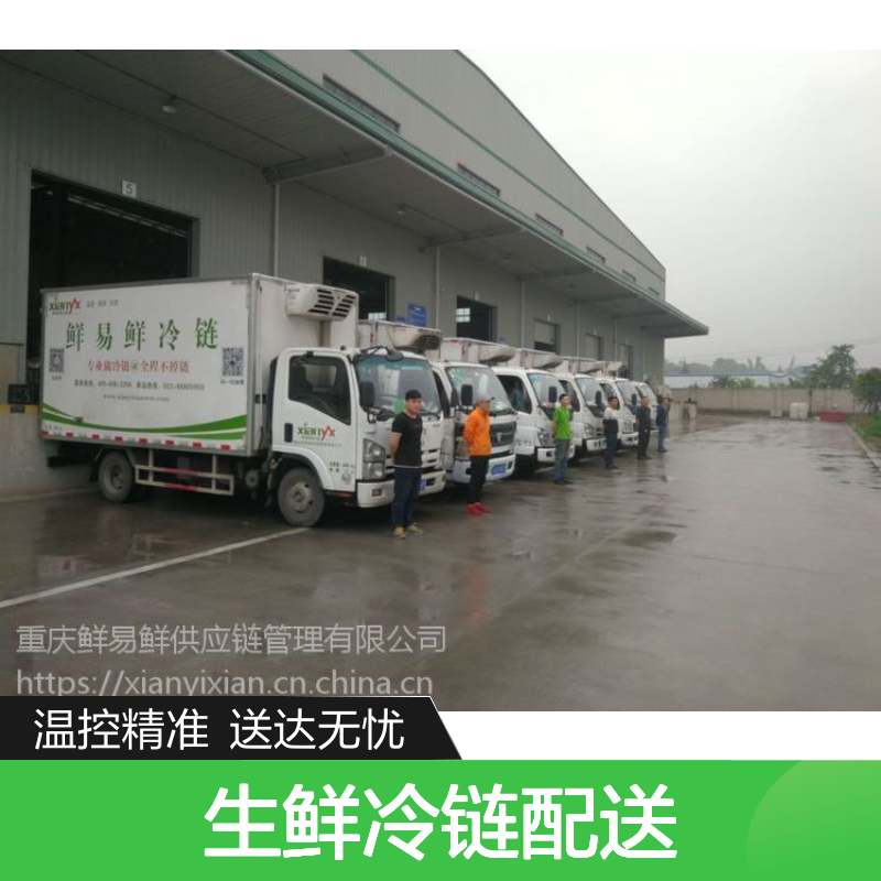 鲜易鲜 生鲜冷链配送-专业仓储管理-全程温控运输-高效安全送达