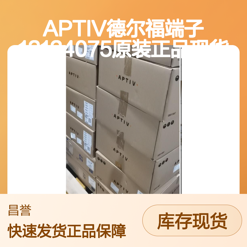 APTIV德尔福端子12124075 原装正品 现货直发 快速交付