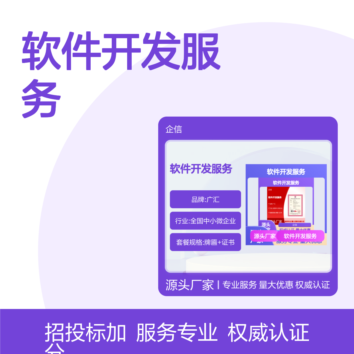 软件开发服务资质认证 投标加分 多网可查 体系认证