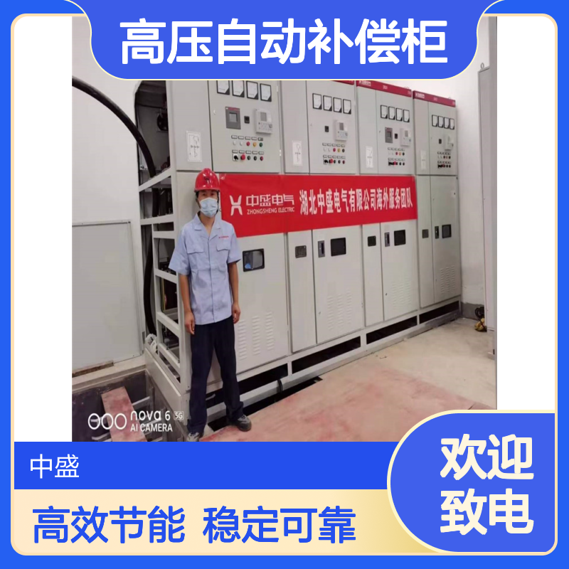 STBB高压自动补偿柜 提高功率因数 避免供电局罚款