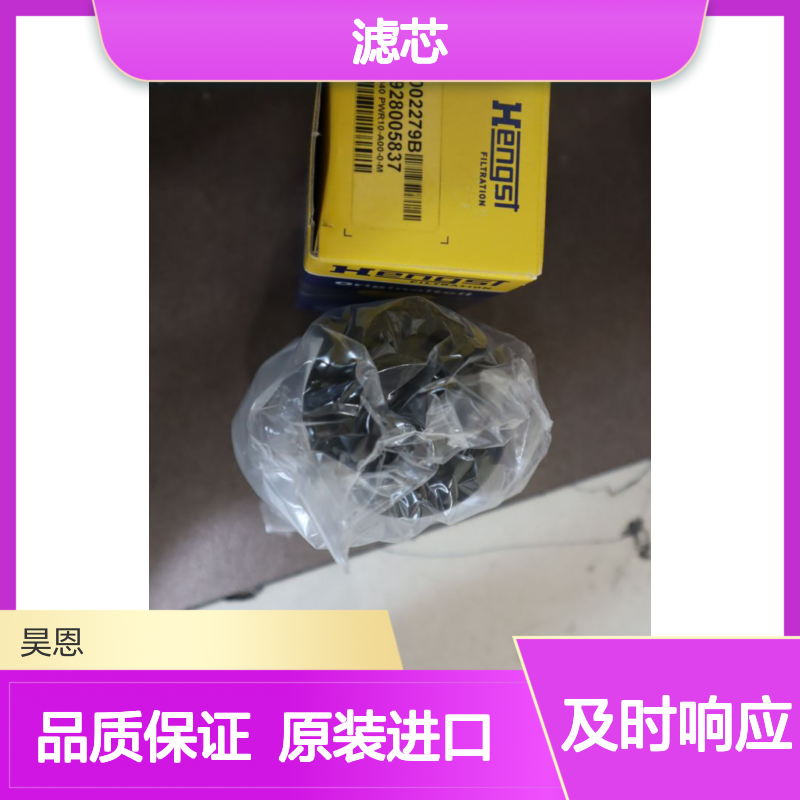 R928005837 1.0040 PWR10-A00-0-M 1002279B 德国汉格斯特HENGST滤芯