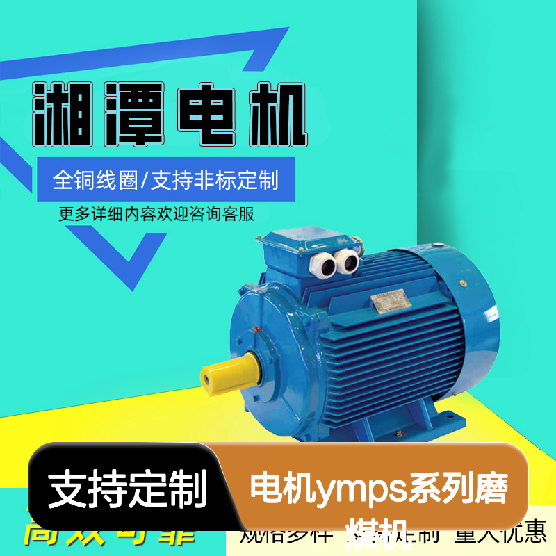 YMPS系列磨煤机电机 矿山机械专用高压电机 全铜线圈 支持定制