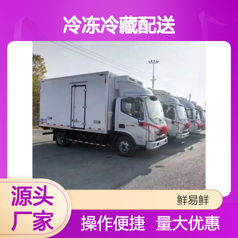 鲜易鲜冷冻冷藏配送 冷链物流运输 专业仓储管理 全程监控服务
