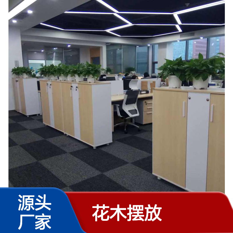南韵竹风 花木摆放 租赁服务 品质如一 成活率高