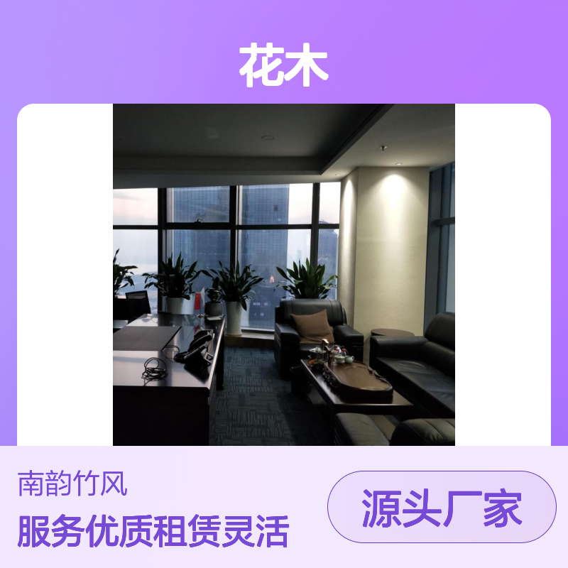 花木租摆服务 办公室绿植租赁方案 省心省力 专业设计