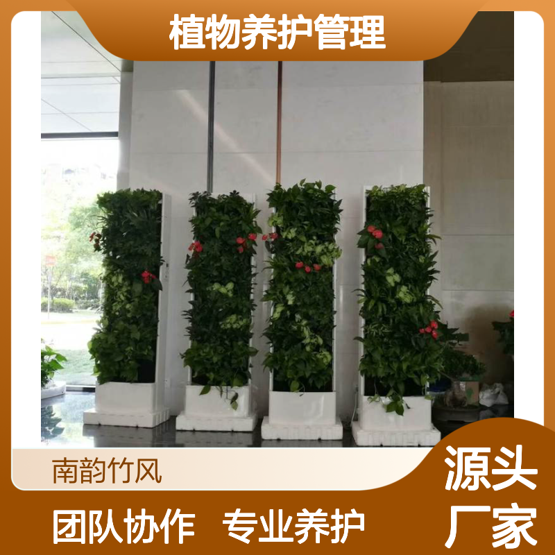 园林绿化一级养护服务 专注植物养护管理 团队协作 服务好