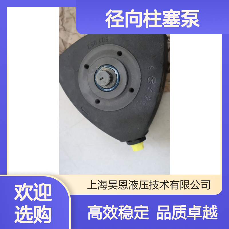 PR4-30/1.60-700RG01M01 R901088530 德国力士乐REXROTH径向柱塞泵