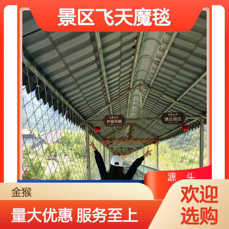 景区飞天魔毯 大型户外游乐设备 安全多重保障 自动变频