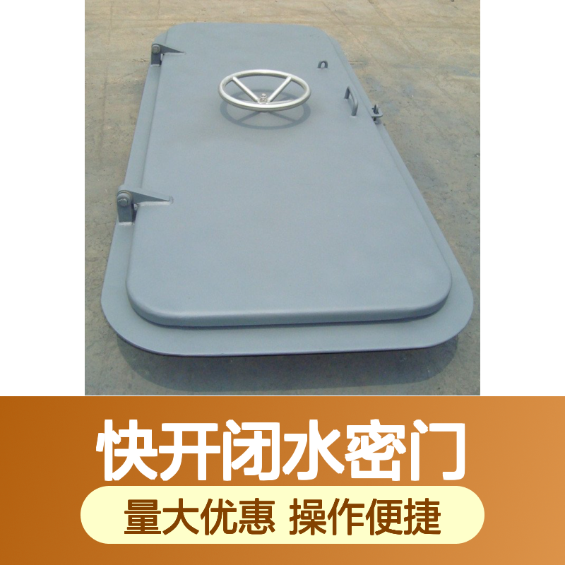 船用快开闭水密门 双开风雨密门 高效密封船舶用设备