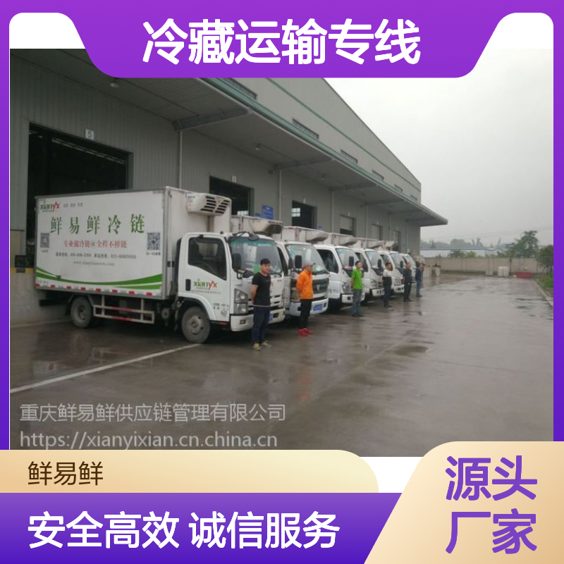 佛山冷链物流公司 冷冻货运电话 冷藏运输专线 鲜易鲜物流