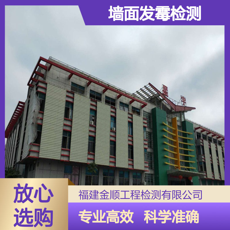 墙面发霉查根源 专业判断漏水或结构缺陷 房屋安全检测服务