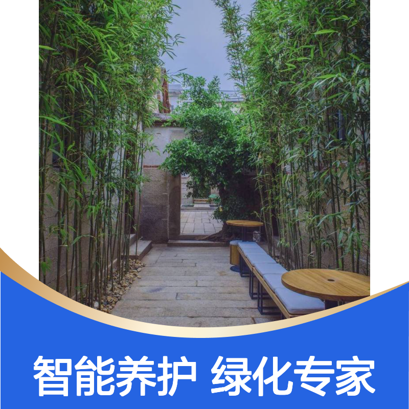 庭院绿化造景 阳台微景观制作 智能花镜养护美观更省事
