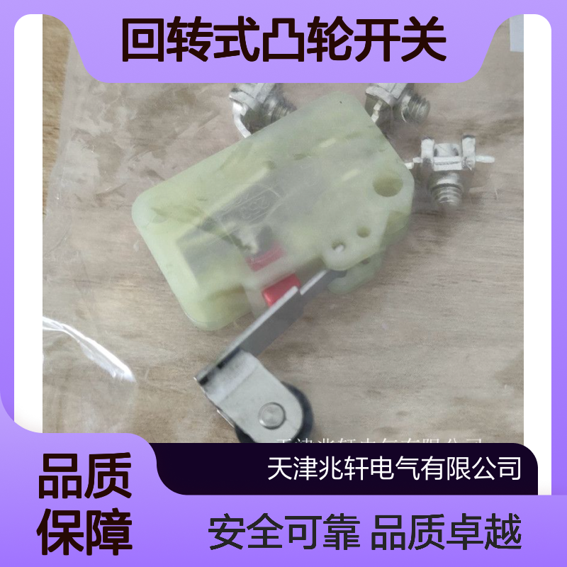 安全锁出售 G50-035M22/M22Y-1600-1-1368-3回转式凸轮开关