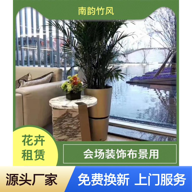 公司绿植租赁固 戍花木租摆供应 上门养护 满一年送一个月服务