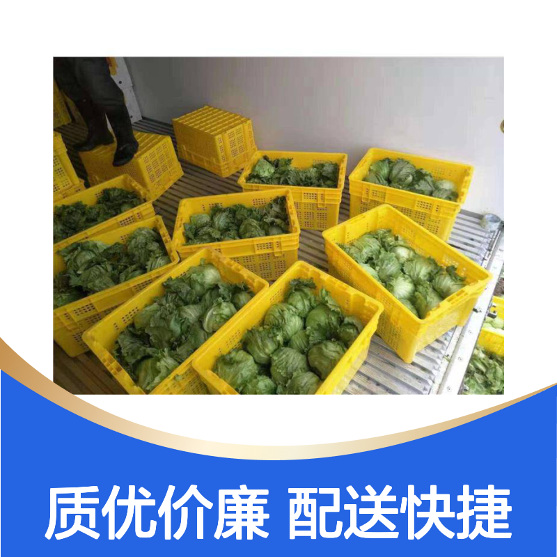 乔丰塑胶周转箱 全新料制品 耐用环保