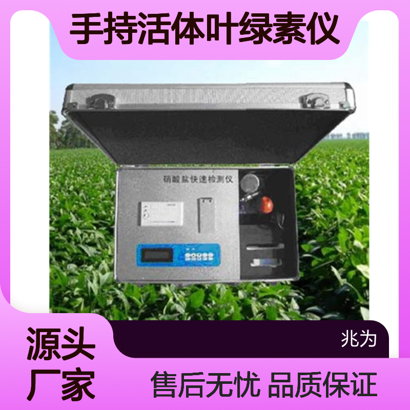 AW-YLS手持活体叶绿素仪 精准测量植物营养