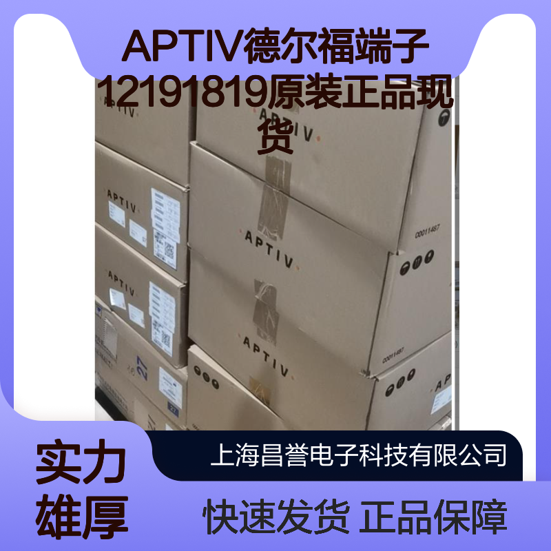 APTIV德尔福端子12191819 原装正品 现货直发 快速配送