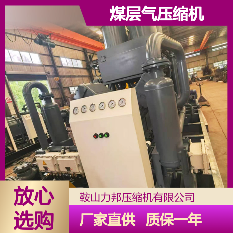 力邦源头厂家2VWF-31煤层气压缩机 工业气体 矿用防爆螺杆空压机