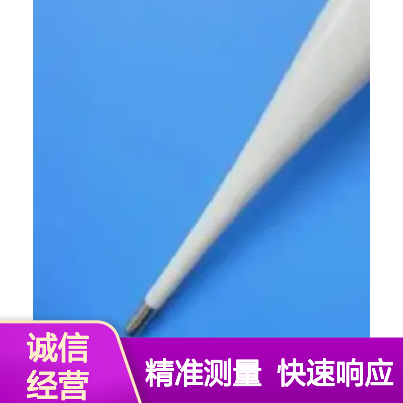 爱纽斯 iCareTM 医用电子体温计 高精度快速测温 体检诊察设备