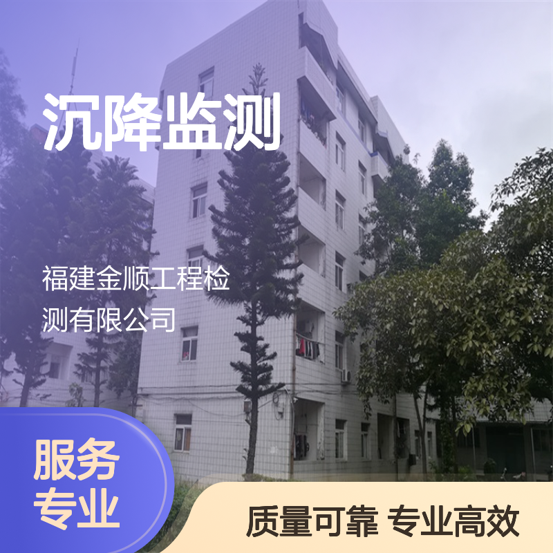道路沉降监测服务 专业团队保障通行安全 快速出具报告