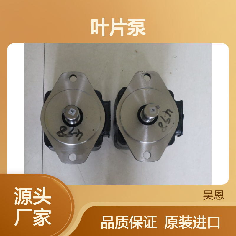 35V25A1B22R 02-137124-2 美国威格士VICKERS丹佛斯DANFOSS叶片泵