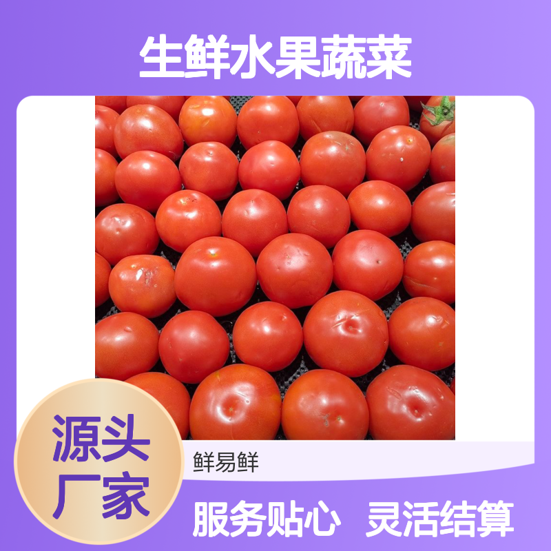 鲜易鲜 生鲜水果蔬菜冷链运输 专车配送服务 企事业学校工厂适用