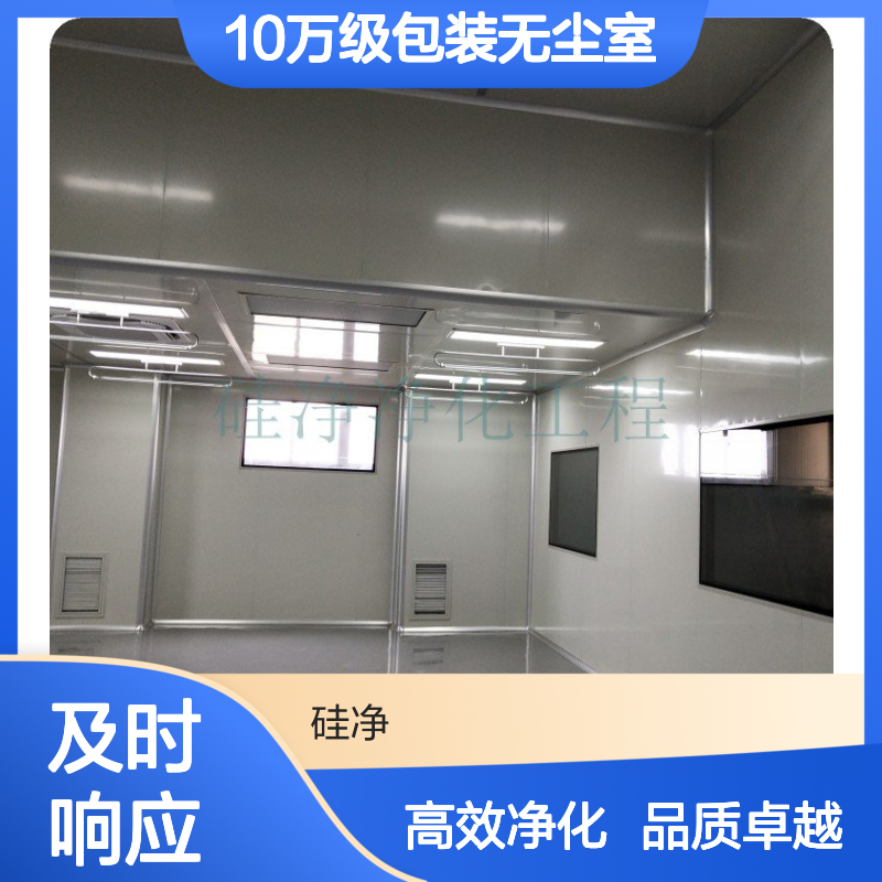 武 进10万级包装无尘室 硅净净化 常 州净化工程公司