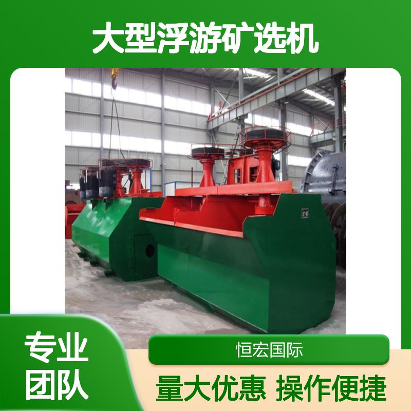 恒宏机械BF型大型浮游矿选机 选金矿精矿设备 可变频出口