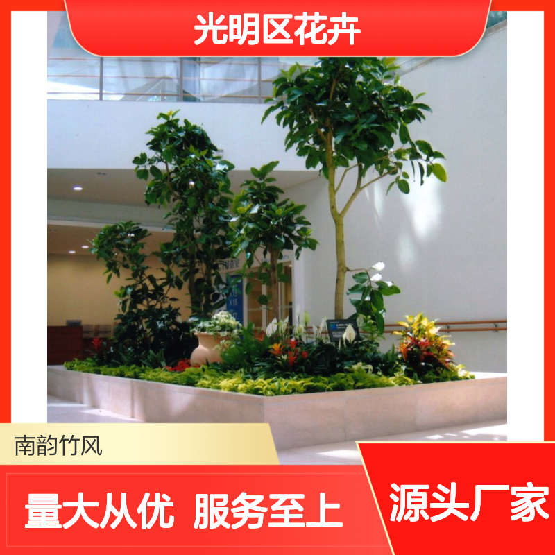 南韵竹风 花卉植物租赁服务 品种多样 成活率高