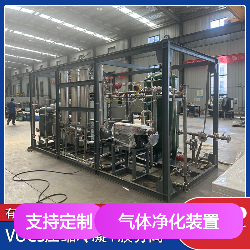 VOCs气体净化装置 标准化制造工艺 安全可靠 真材实料