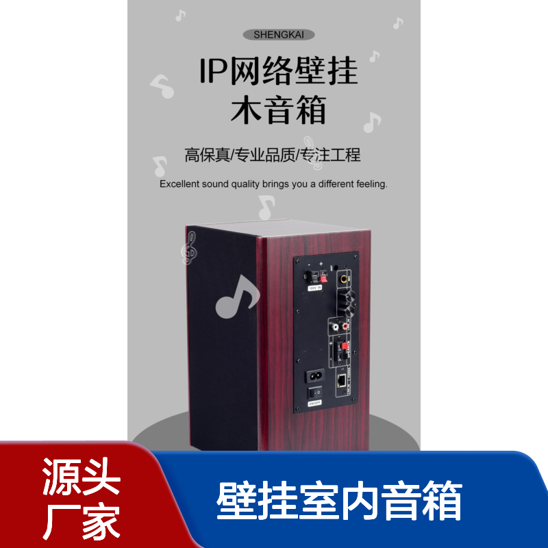 RDI壁挂室内音箱 有源定时喊话广播 学校会议家庭多用