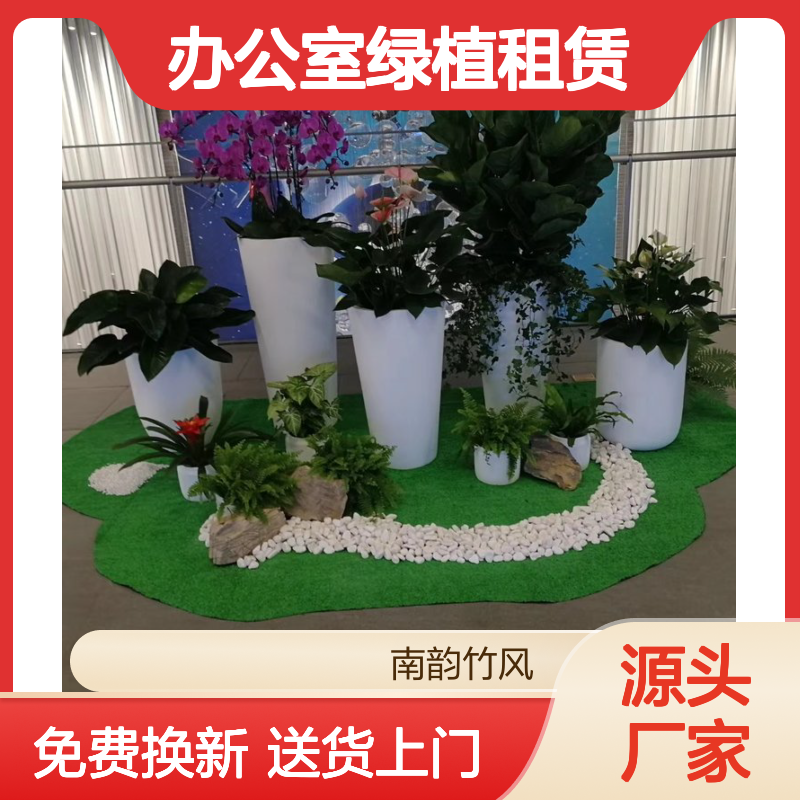 办公室绿植租赁一站式服务 2025植物租摆公司分享