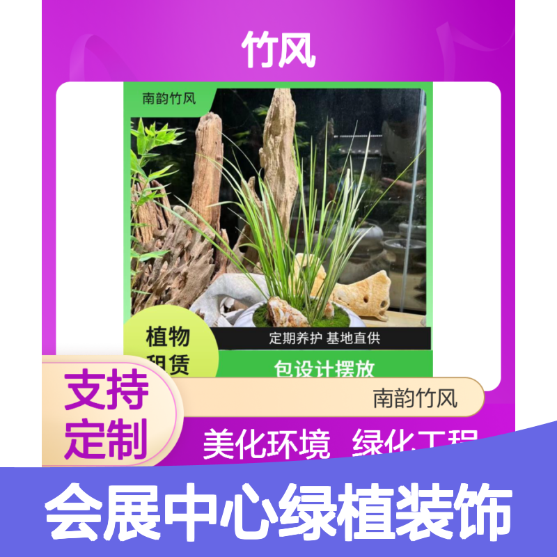 会展中心绿植装饰 花卉植物造景布置 租摆服务
