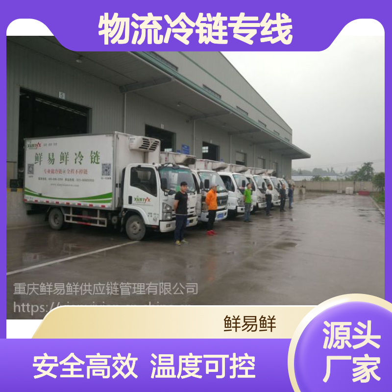 到佛山物流冷链专线 冷链物流运输 车型齐全 一站式服务