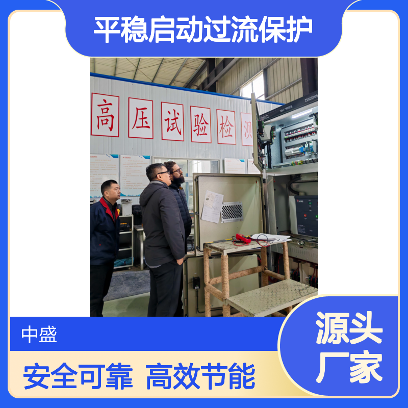 ZSSGQH高压固态软启动一体柜 平稳启动过流保护 多种起方式