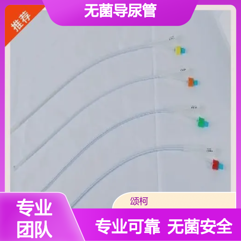 泌尿外科一次性使用无菌导尿管 艾迪尔 DNG-T16Fr-P 供应耗材
