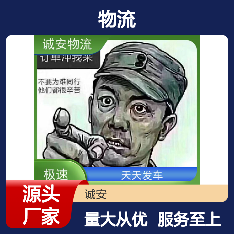 诚安物流 国内陆运报关次日到 天天发车 品质致胜
