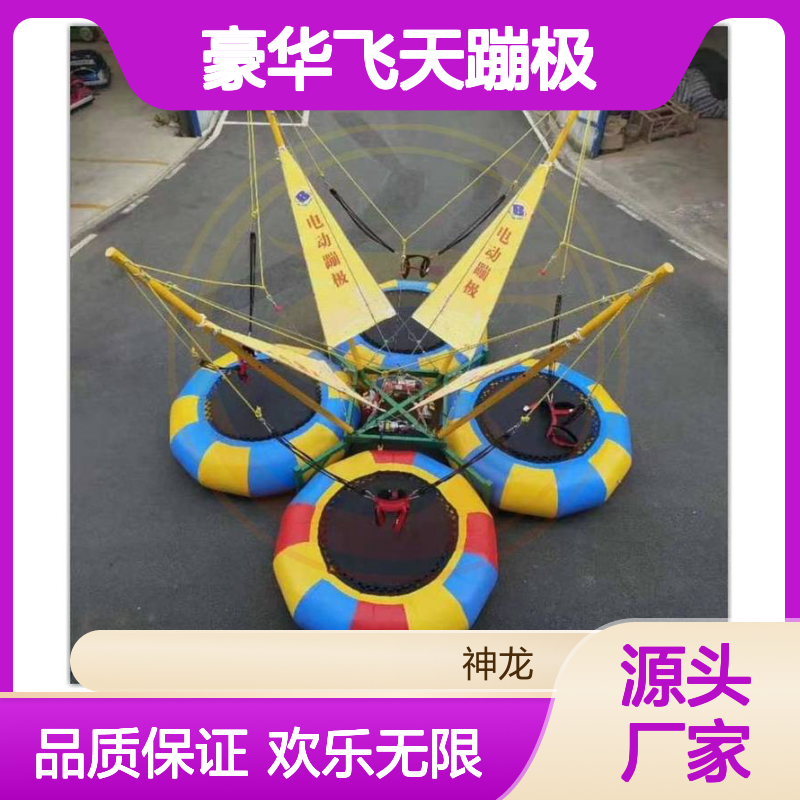 豪华飞天蹦极 小朋友们喜欢玩的4人儿童蹦极 神龙游乐供应