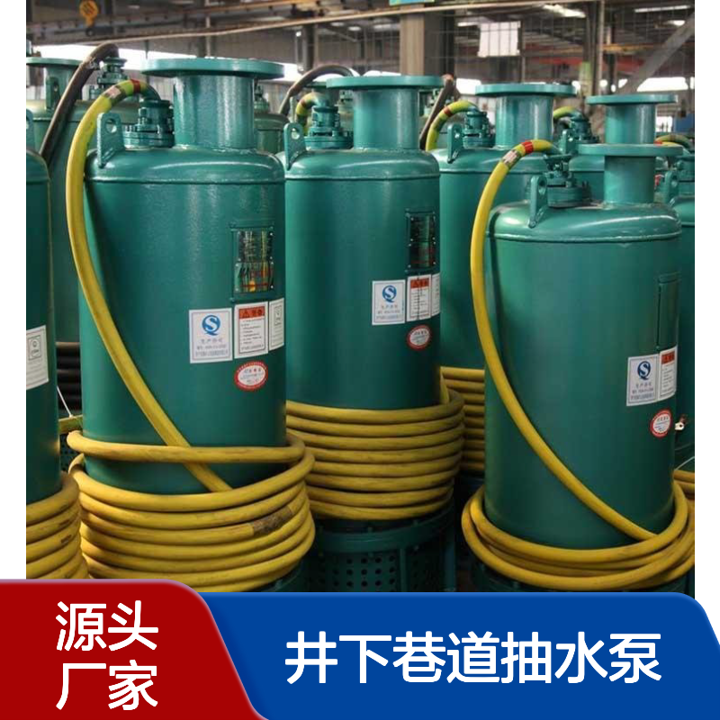 防爆潜水排污泵 BQS隔爆型排沙泵 井下巷道抽水泵