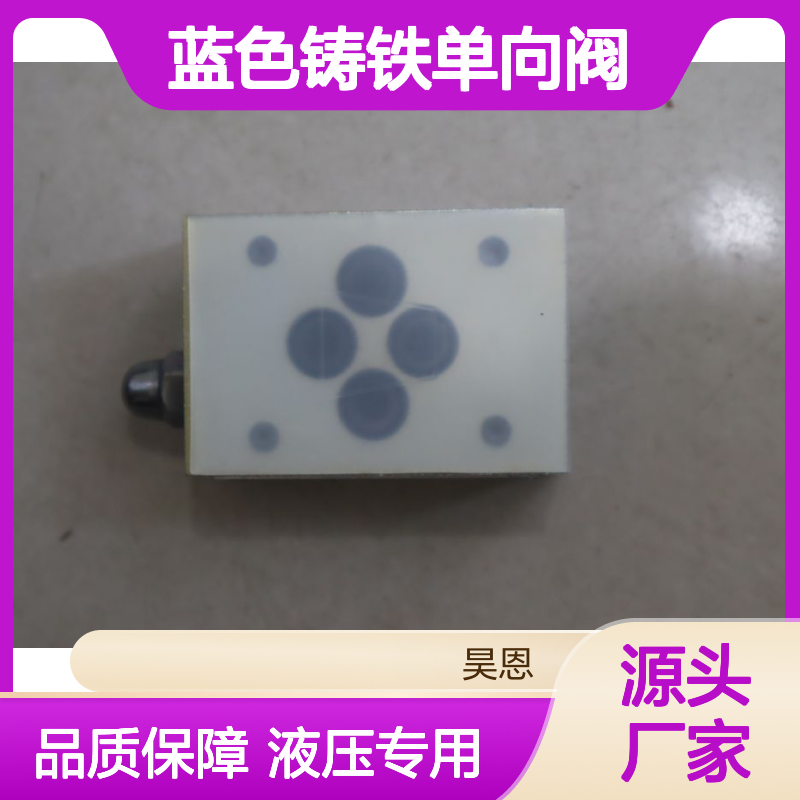 BUCHER布赫SD-P-6-1型号蓝色铸铁单向阀 液压系统专用
