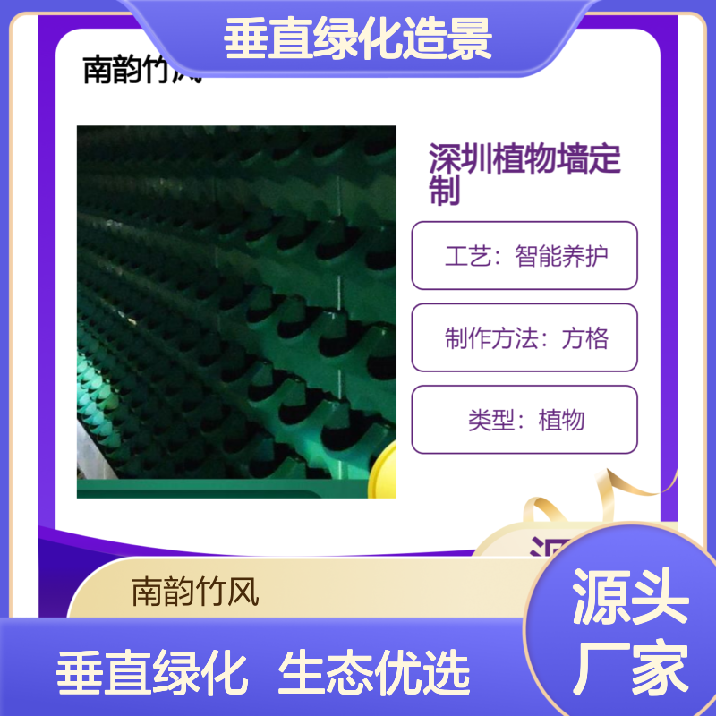商场绿化墙 垂直绿化造景优选 多彩搭配 精心养护