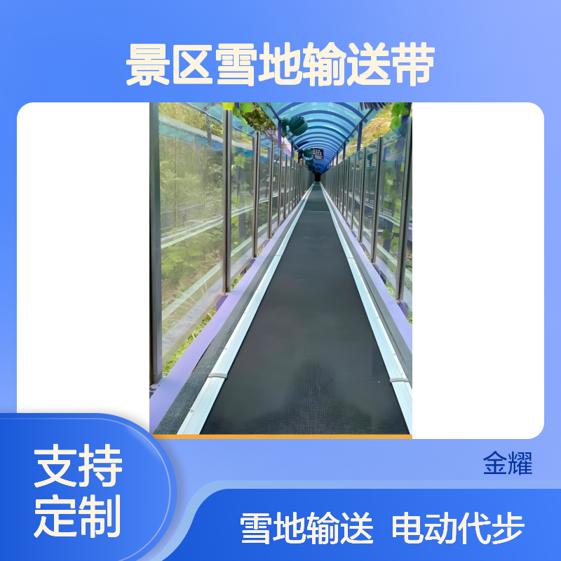 滑雪场用魔毯 电动代步设备 景区雪地输送带 定制尺寸可定制