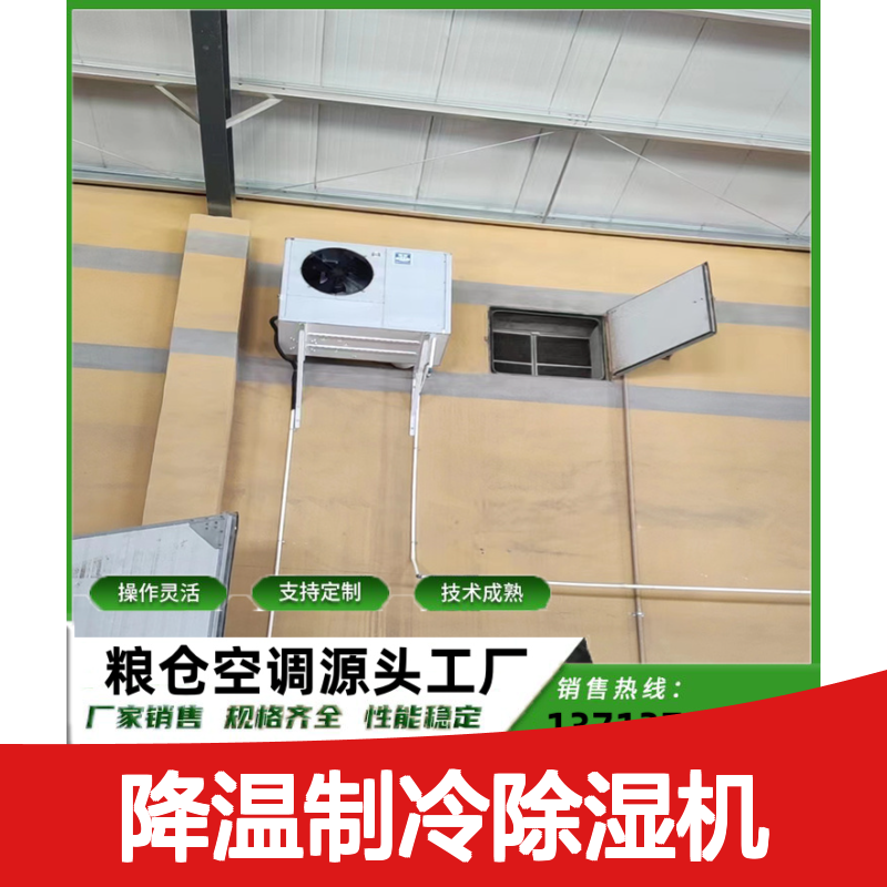粮仓降温制冷除湿机 支持定制 性能稳定 技术成熟