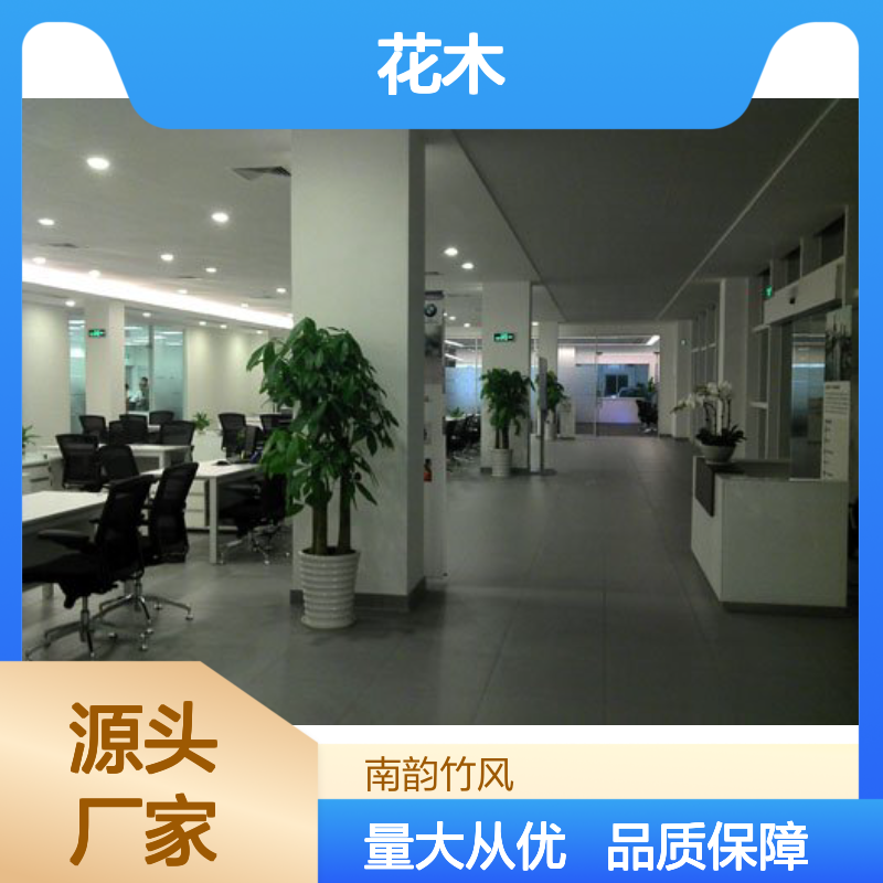 南韵竹风花木租摆 服务全面品种多样 成活率高