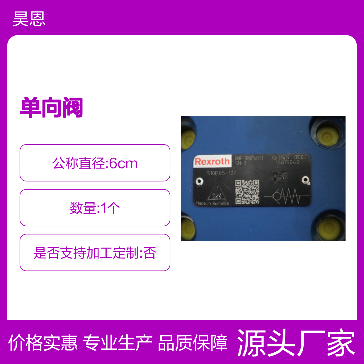 S10P05-10/ S10P05-1X/ S10P05-11/ R900769541 力士乐REXROTH单向阀