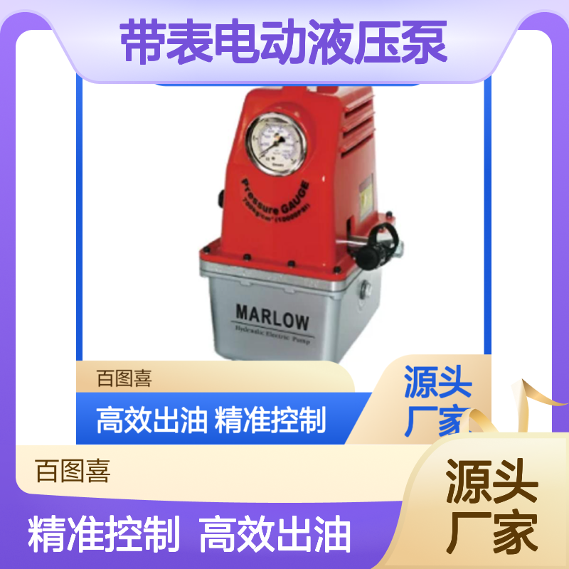 马尔禄总代理 CTE-25AG单回路带表电动液压泵BTC-500